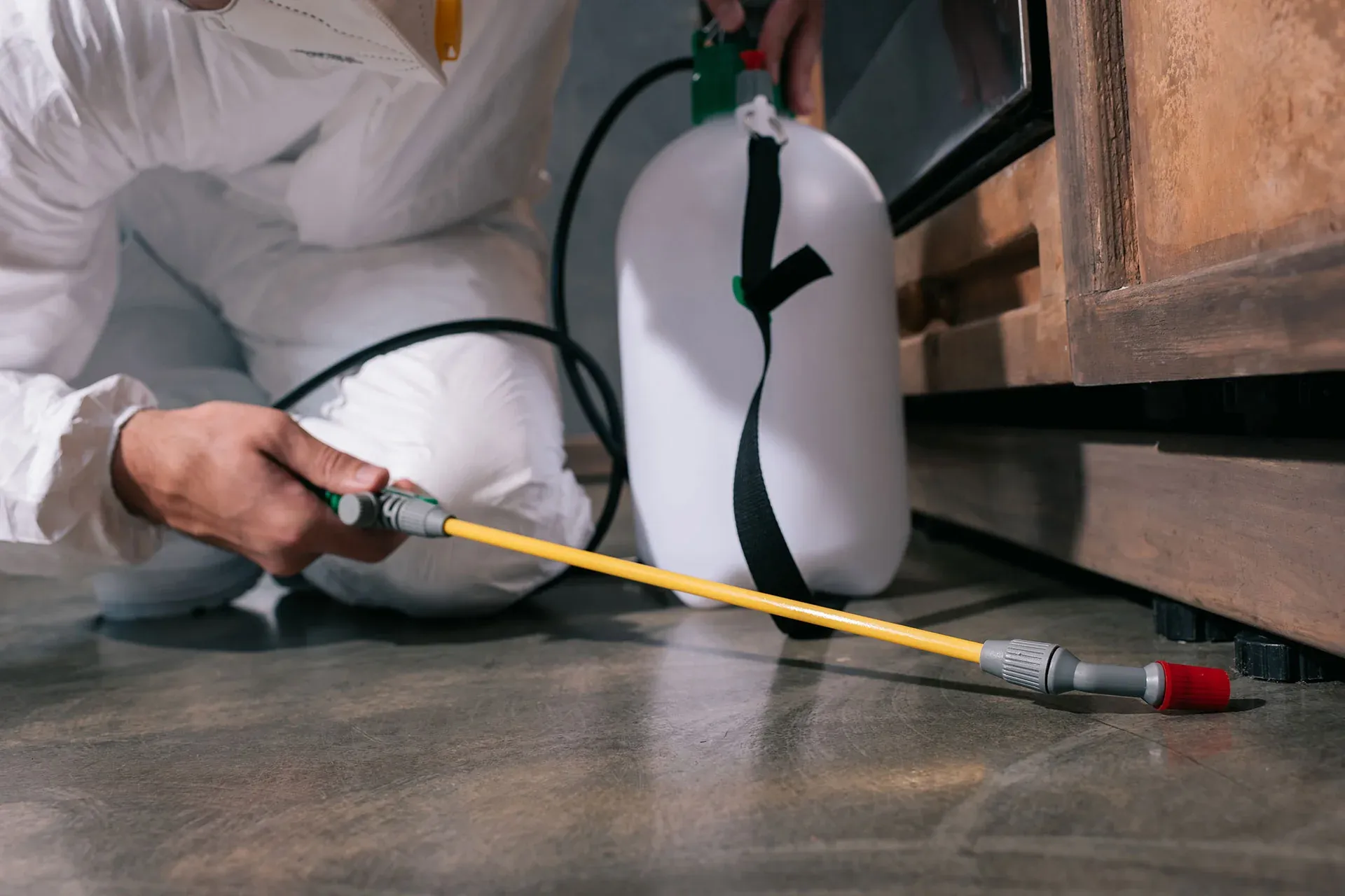 Pest control technician treating under cabinets